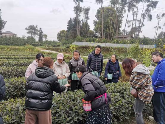 一群人站在草地上  AI 生成的内容可能不正确。